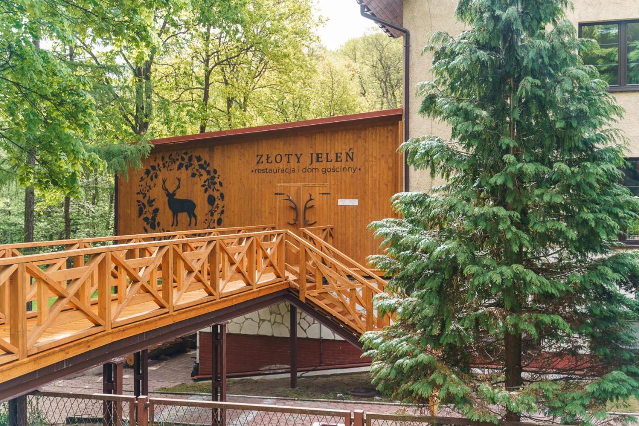 Zloty Jelen - Restauracja I Dom Goscinny Potok Zloty 外观 照片