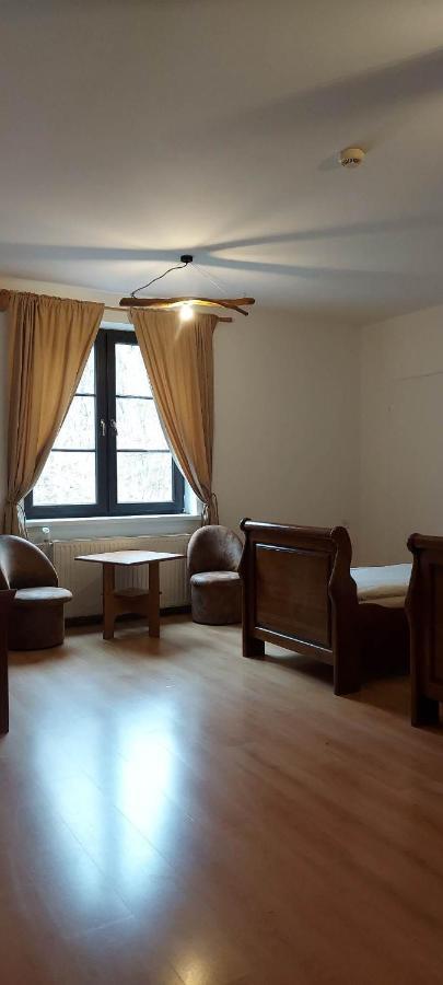 Zloty Jelen - Restauracja I Dom Goscinny Potok Zloty 外观 照片